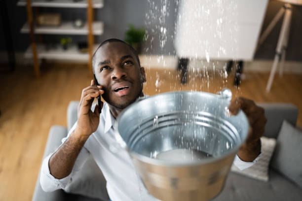Best Water damage restoration near me  in Gananda, NY