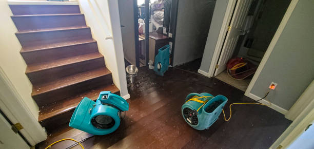 Water damage restoration mold remediation in Gananda, NY