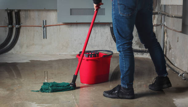 Best 24/7 water damage repair  in Gananda, NY