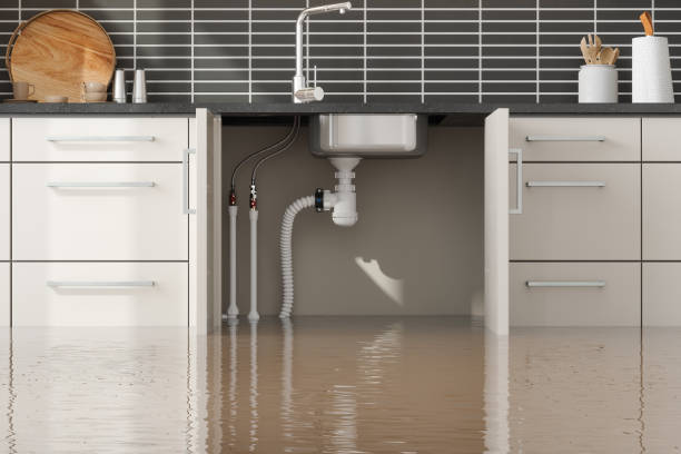 Best Ceiling water damage repair  in Gananda, NY