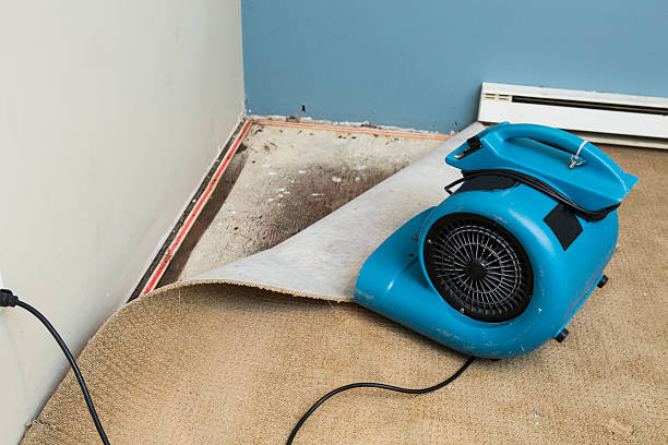 Trusted Gananda, NY Water damage restoration Experts