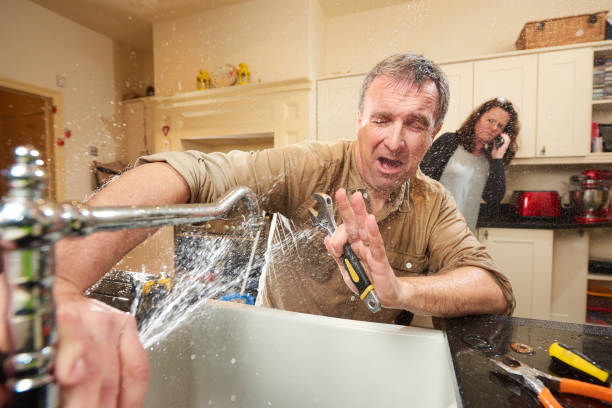 Best Water damage cleanup near me  in Gananda, NY